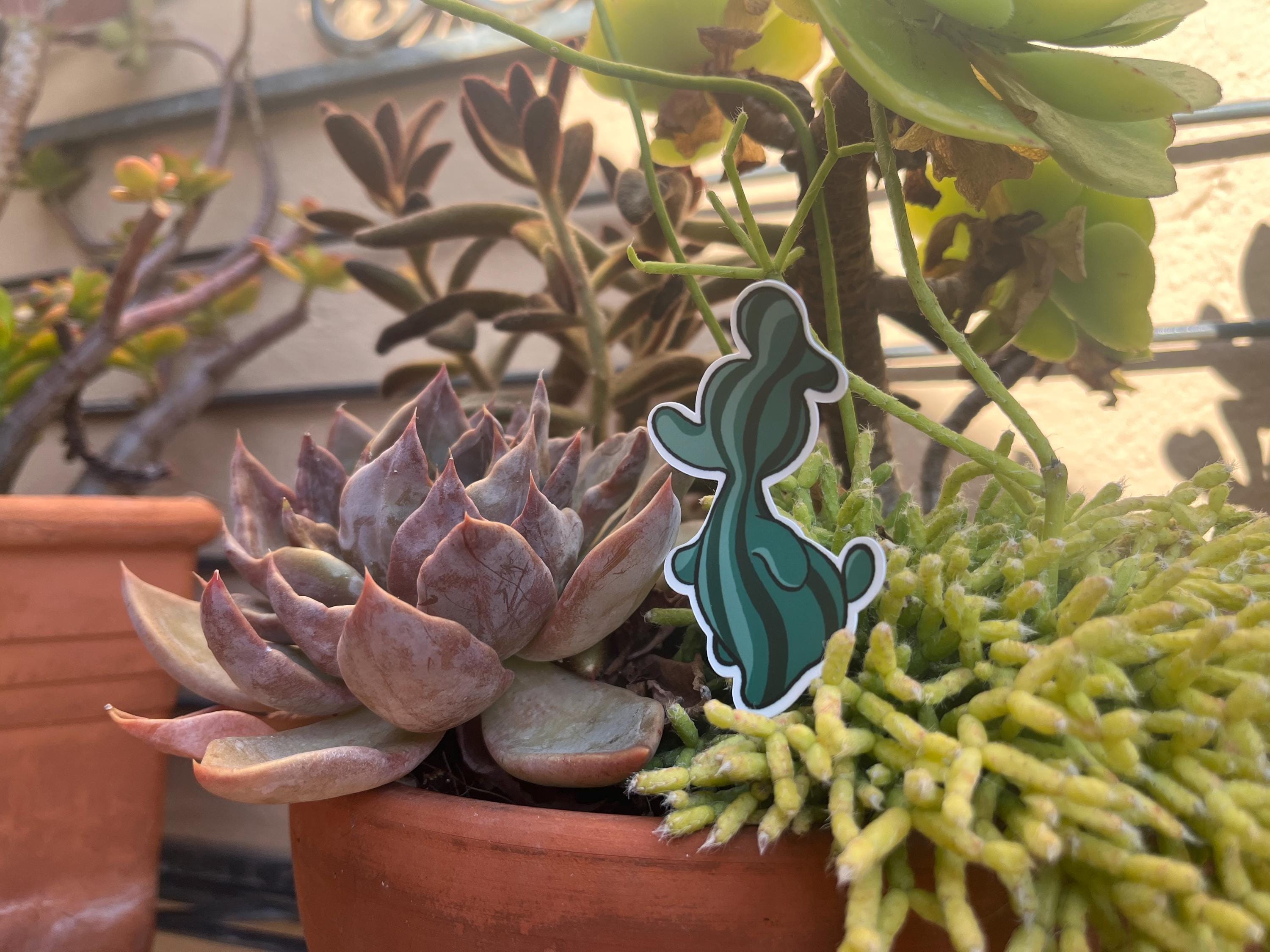 Sonoran Duck Sticker | Waterproof, handmade