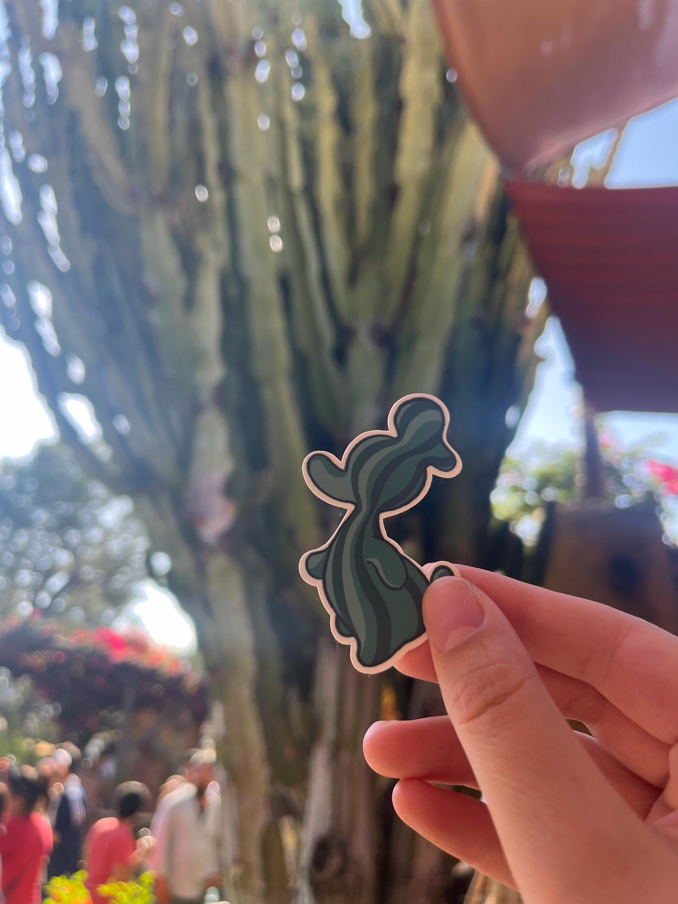 Sonoran Duck Sticker | Waterproof, handmade