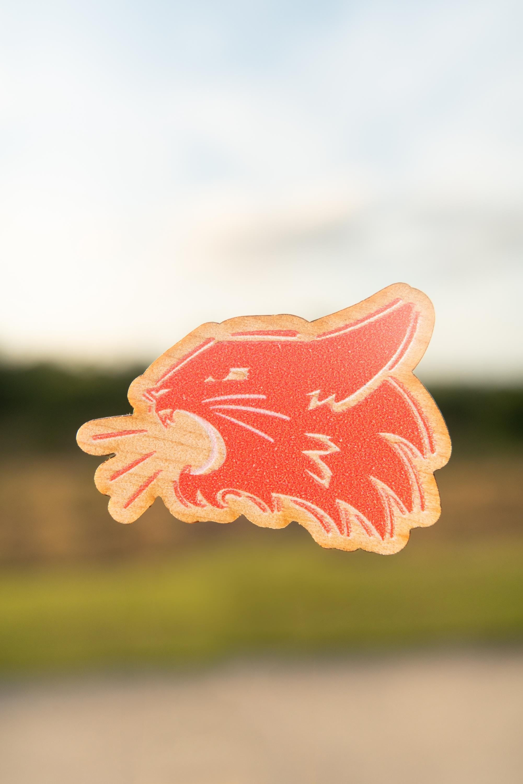 1.5” Printed Wooden Pins | The DCOM Collection